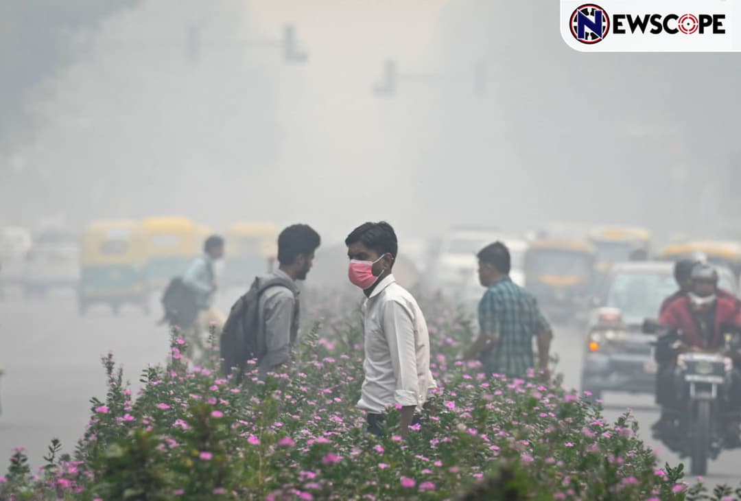 Delhi life collapses under smog